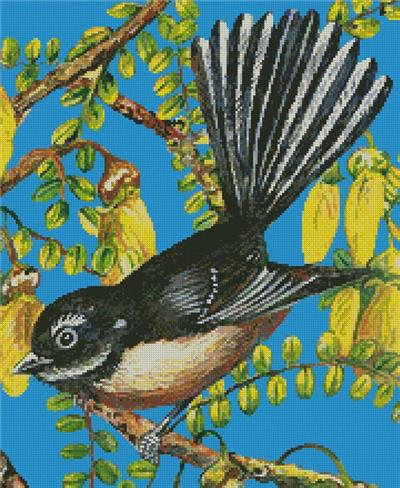 Fantail Frolics (Crop)