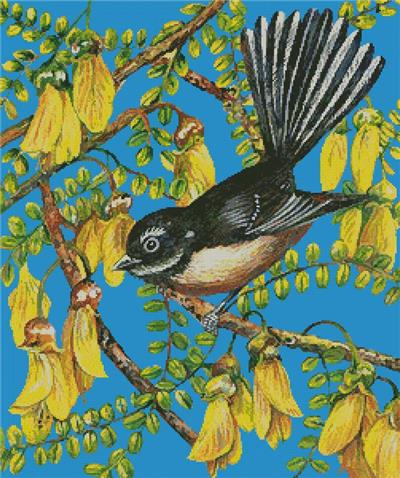 Fantail Frolics 