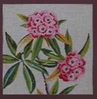 Pink Flowers