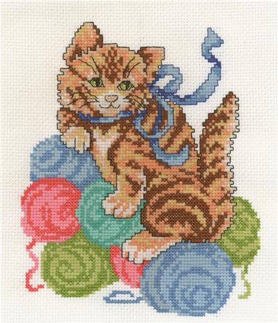 Butterscotch Kitten