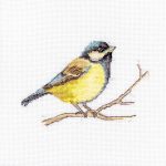 Great Tit
