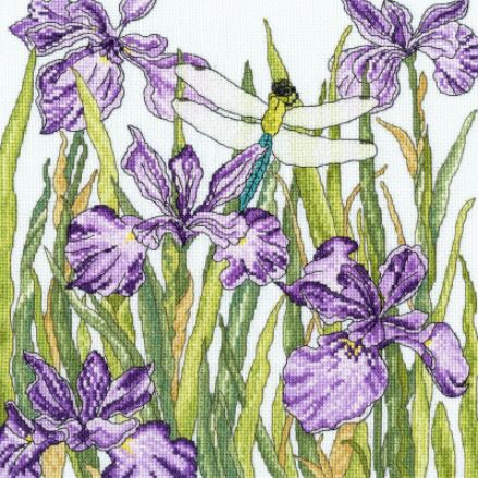 Iris Garden