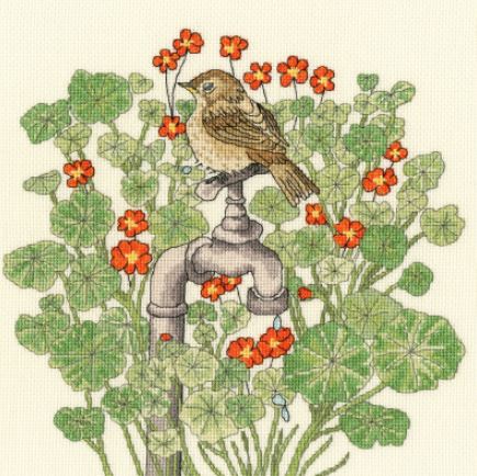 Nasturtium Garden