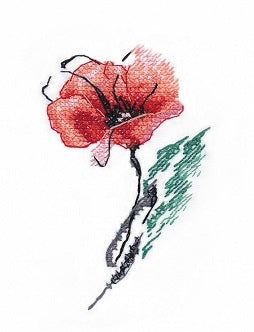 Poppy