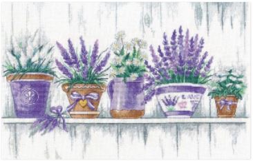 Lavender Tenderness