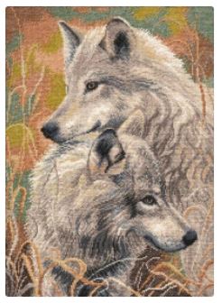 Wolfish Faith