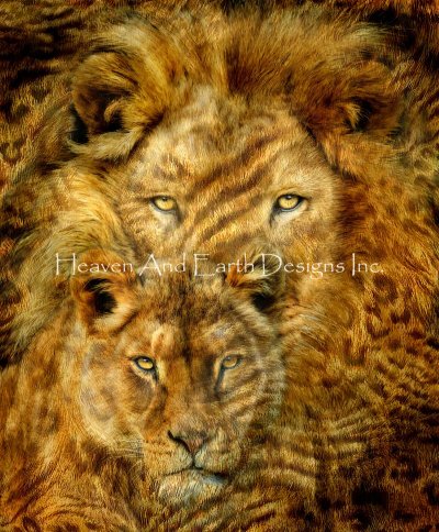 Moods of Africa Lions Mini -  Carol Cavalaris