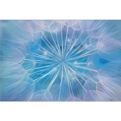 Dandelion Heart