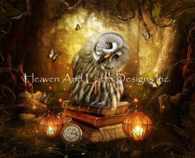 Owl - Jessica Allain
