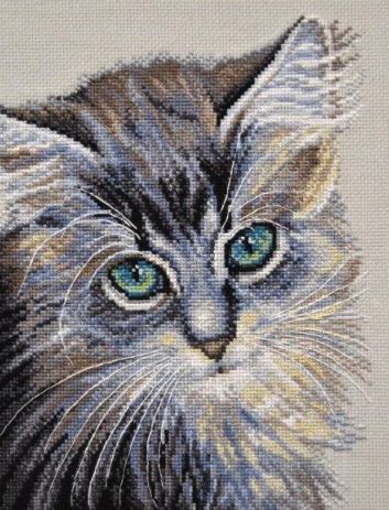 Green-Eyed Wonder