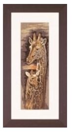 Giraffe and Baby - Love and Devotion