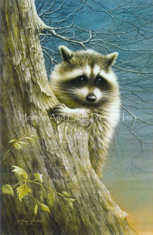 Raccoon