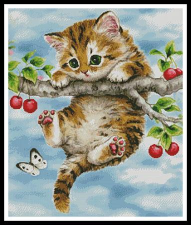 Cherry Kitten