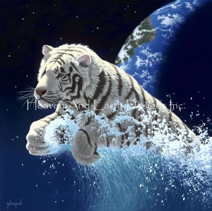 Leap of Creation - Schim Schimmel