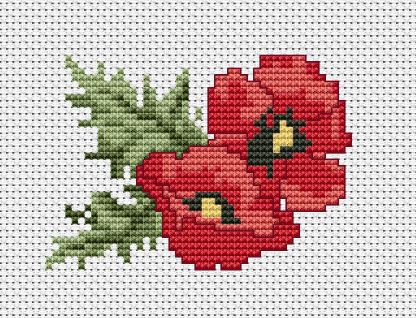 Poppies