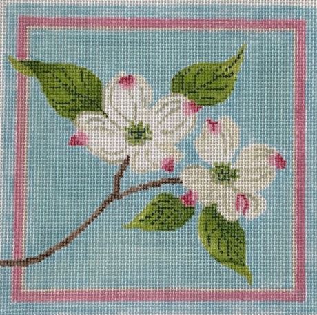White Dogwood Blossoms
