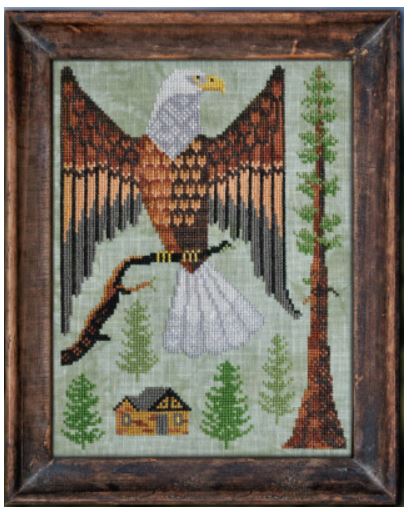 Year in the Woods 7 - The Bald Eagle