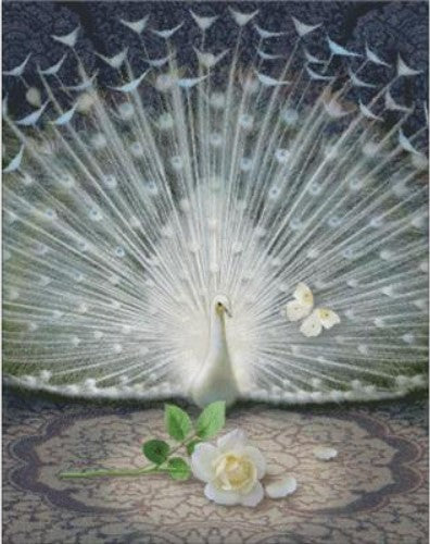 Release - White Peacock