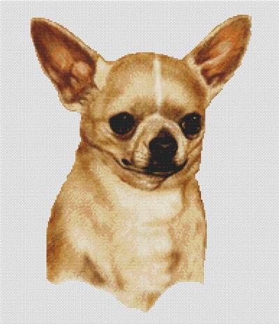 Chihuahua