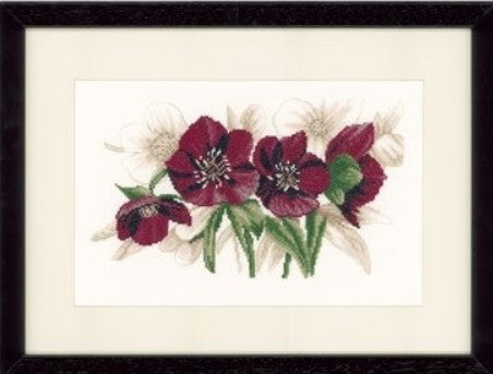 Red Flowers Hellebores