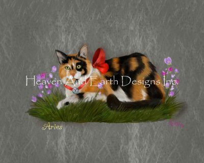 Aries/Mini - Ash Evans