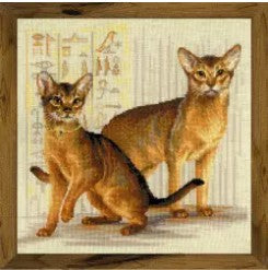 Abyssinian Cats