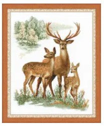 Deer