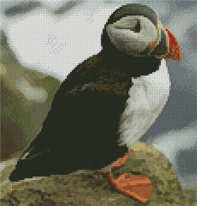 Puffin (Medium)