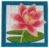 Water Lily Square