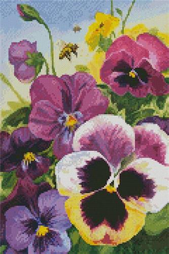 Mini Big Bold Pansy