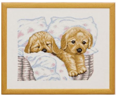 Puppies