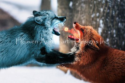 Fire VS Ice - Milos Karanovic