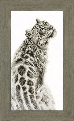 Panther