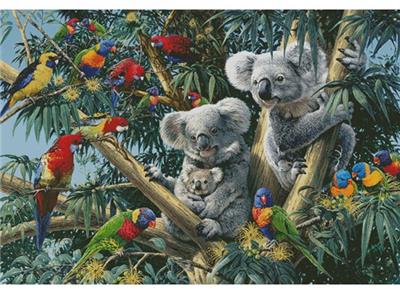 Koala Outback (Large)