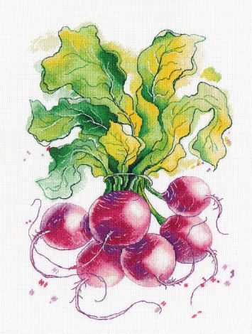 Radish 
