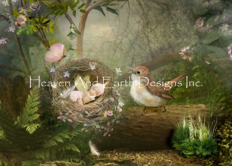  Lullabye, The/Mini - Charlotte Bird