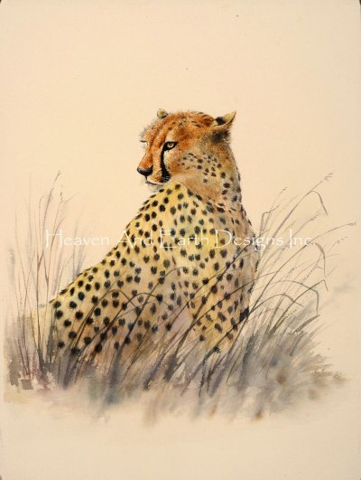Cheetah/Mini - Marianne Broome