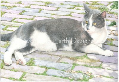 Lazing Around - Francien Van Westering