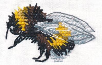 Shaggy Bumblebee