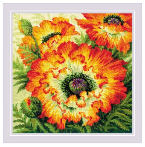 Fire Poppies