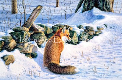 Red Fox - Sally Smith