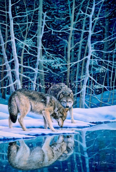 Companions - Sally Smith