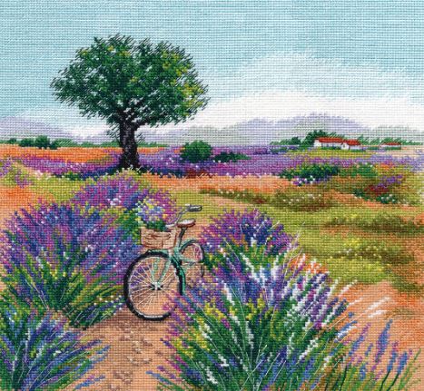 Journey to Provence