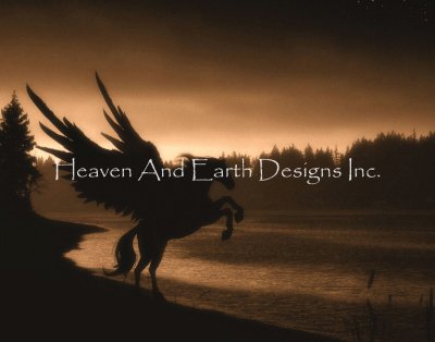 Pegasus  - Julie Fain