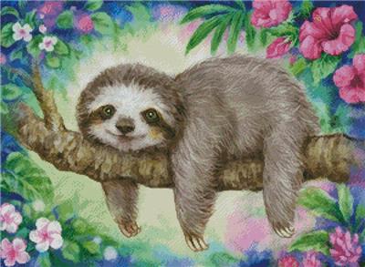 Sloth Lazy Morning