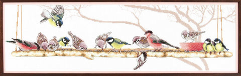Festival of Birds