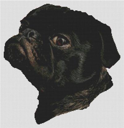 Watching You - Black Pug