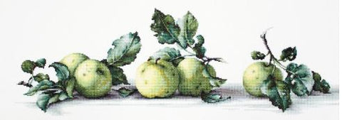Still Life with Apples