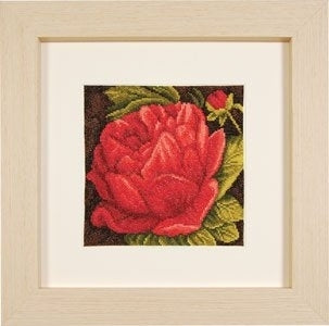 Peony (14ct)