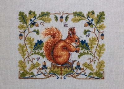 Squirrel
